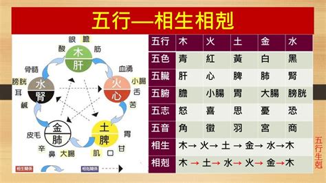 五行相生剋|五行相生相剋說明